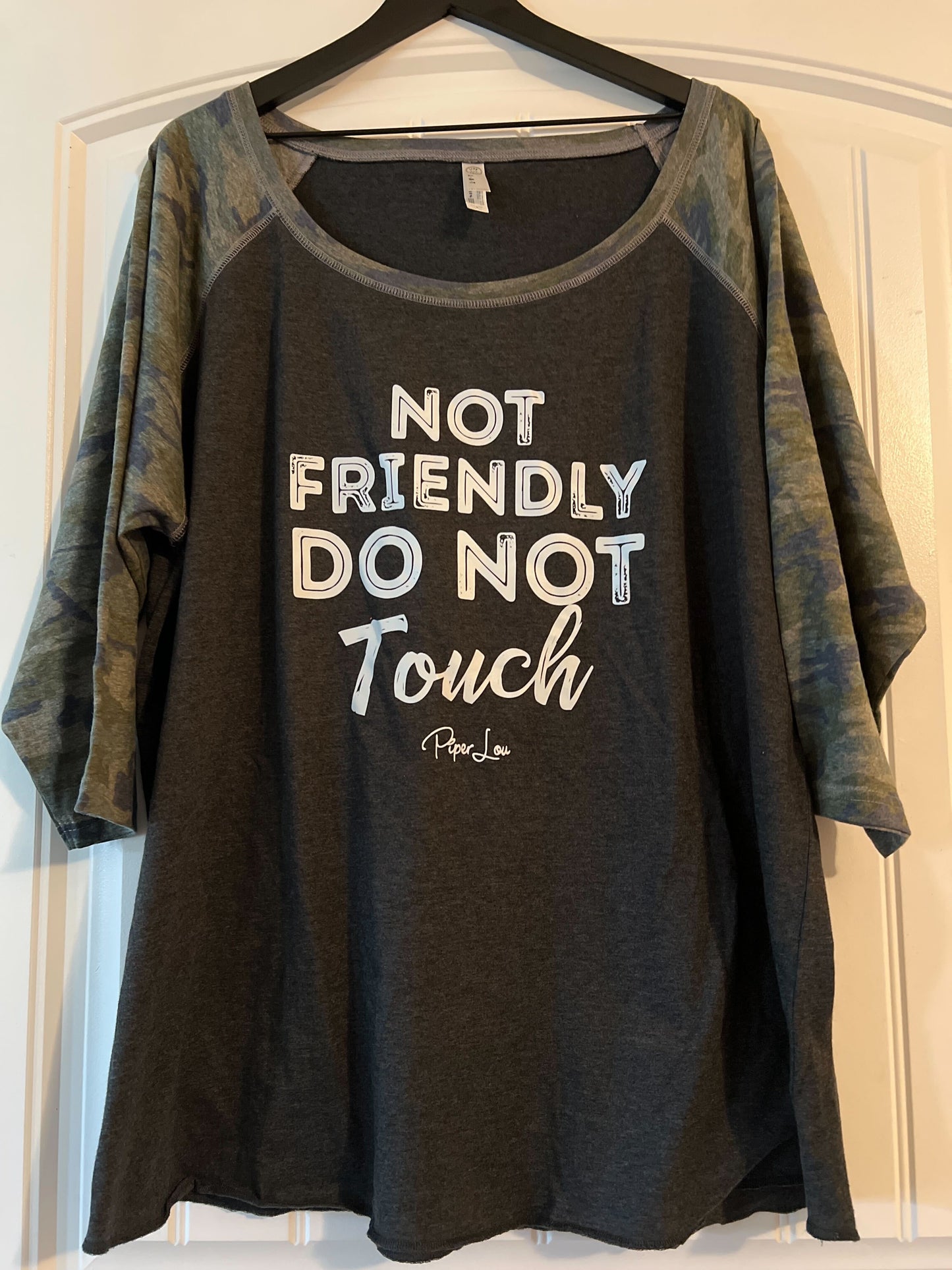 Clearance | Not Friendly Do Not Touch Raglan