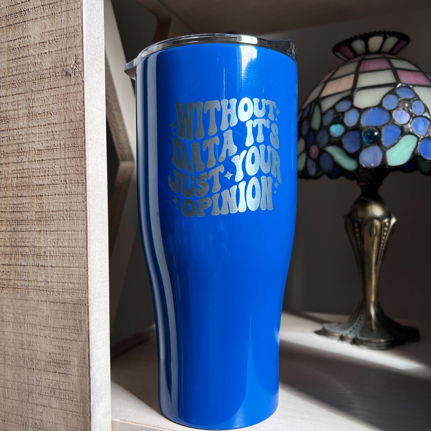 Clearance | Without Data It's Just Your Opinion Laser Etched Tumbler