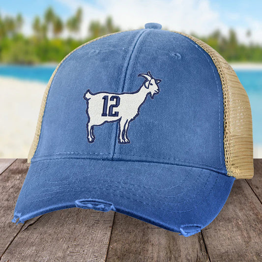 Clearance | GOAT 12 Hat